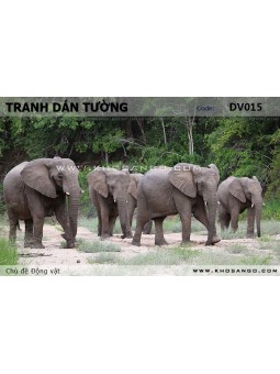 Tranh dán tường Động vật DV015