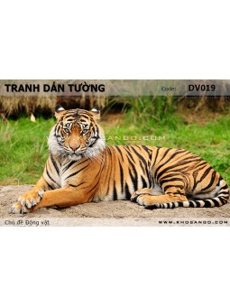 Tranh dán tường Động vật DV019