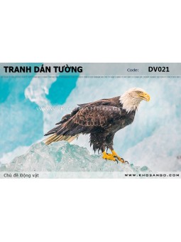 Tranh dán tường Động vật DV021