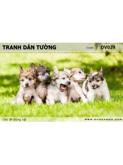 Tranh dán tường Động vật DV029