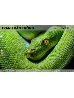 Tranh dán tường Động vật DV038