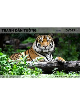 Tranh dán tường Động vật DV043