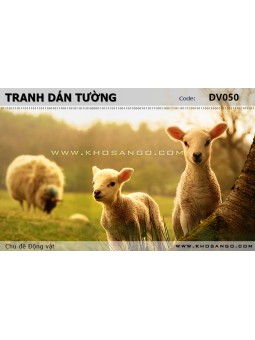 Tranh dán tường Động vật DV050