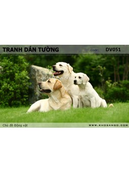 Tranh dán tường Động vật DV051