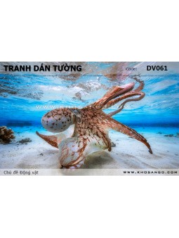 Tranh dán tường Động vật DV061