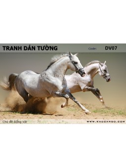 Tranh dán tường Động vật DV07