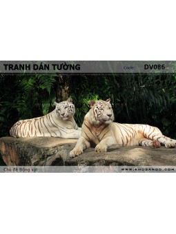 Tranh dán tường Động vật DV086