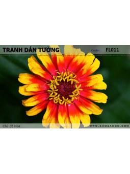 Tranh dán tường Hoa FL011