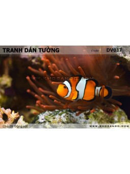 Tranh dán tường Động vật DV037