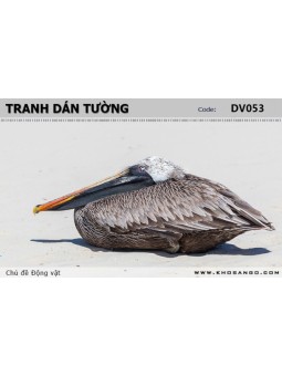 Tranh dán tường Động vật DV053