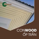 Ốp Trần Conwood