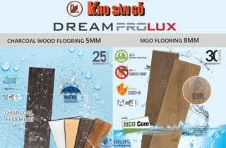 SỰ KIỆN RA MẮT SẢN PHẨM MỚI DREAM PROLUX 5MM VÀ 8MM