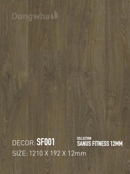 Dongwha Laminate Flooring SF001