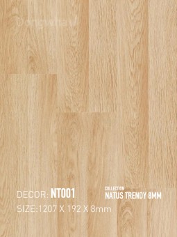 Dongwha Laminate Flooring NT001