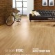 Dongwha Laminate Flooring NT002