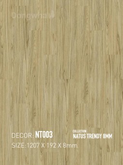 Dongwha Laminate Flooring NT003