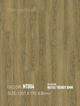 Dongwha Laminate Flooring NT004