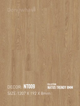 Dongwha Laminate Flooring NT009