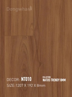 Dongwha Laminate Flooring NT010