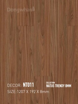 Dongwha Laminate Flooring NT011