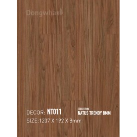 Sàn gỗ Dongwha NT011