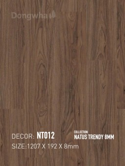 Dongwha Laminate Flooring NT012