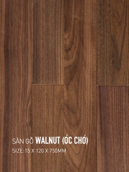 Sàn gỗ Walnut 120x750mm