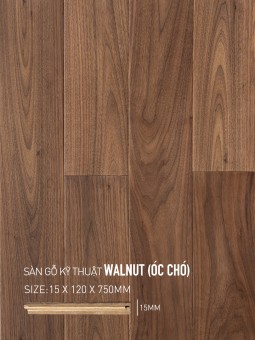 Sàn gỗ Walnut Engineered 120x750mm