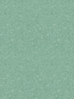 Antibacterial Vinyl Flooring 2625