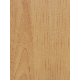 Sport Vinyl Flooring Y65145