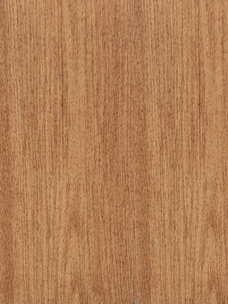 Sport Vinyl Flooring Y65145X