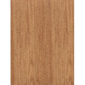 Sport Vinyl Flooring Y65145X