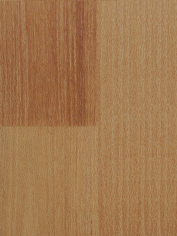 Sport Vinyl Flooring Y65145Y