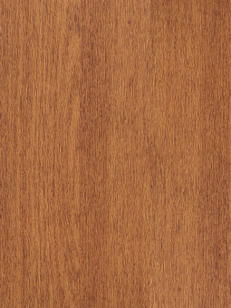 Sport Vinyl Flooring Y65170X