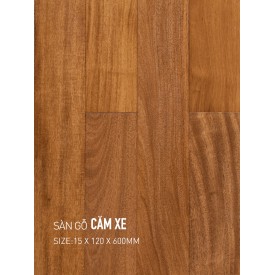 Sàn gỗ căm xe 120x600mm