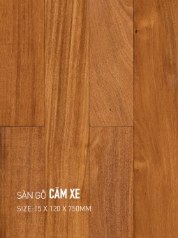 Xylia Hardwood Flooring 120x750mm