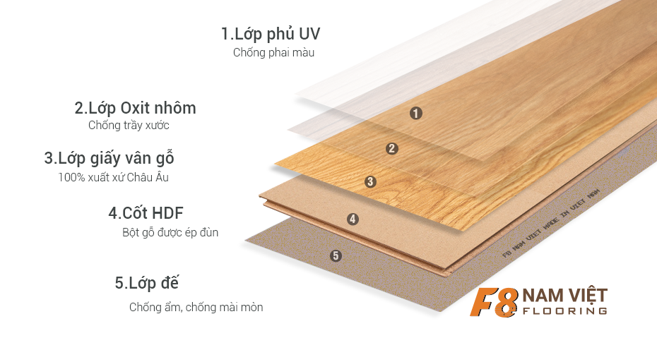 cấu tạo sàn gỗ nam việt F8