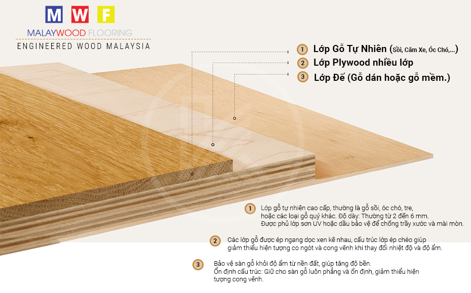 cấu tạo sàn gỗ kỹ thuật malaywood