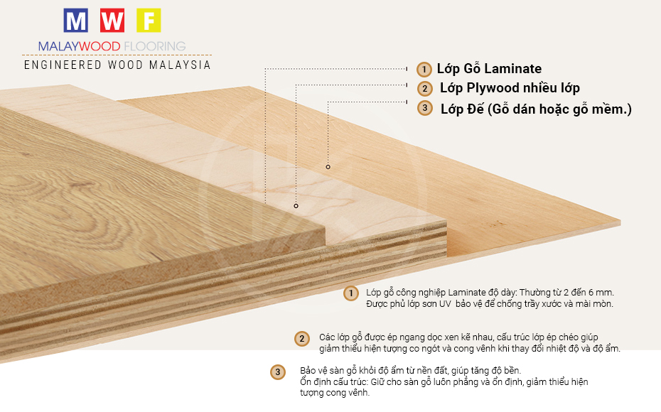 cấu tạo sàn gỗ kỹ thuật malaywood